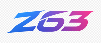 z63